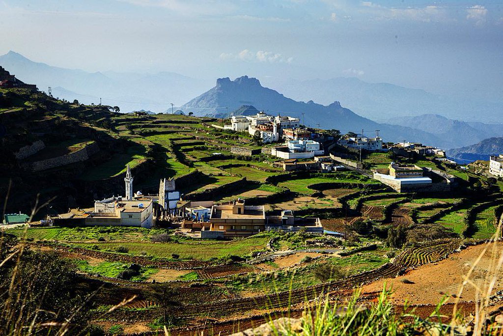 صورة من أرشيف الصندوق 1